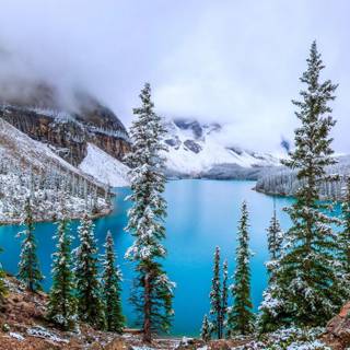 Snowy lake wallpaper