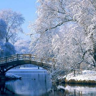 Snowy lake wallpaper