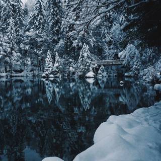 Snowy lake wallpaper