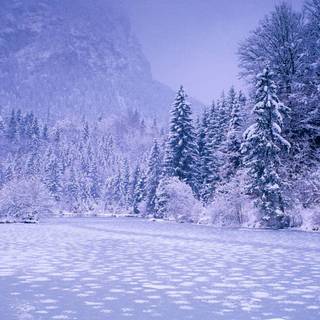 Snowy lake wallpaper
