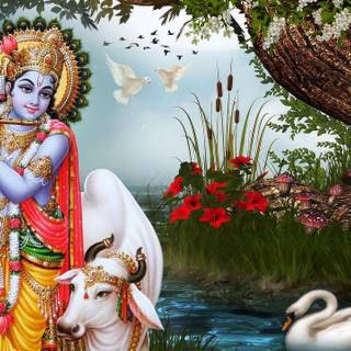 Krishna Govardhan wallpaper