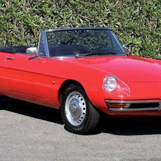 Alfa Romeo Spider wallpaper