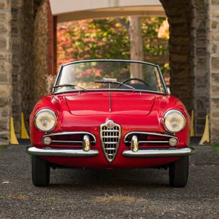 Alfa Romeo Spider wallpaper