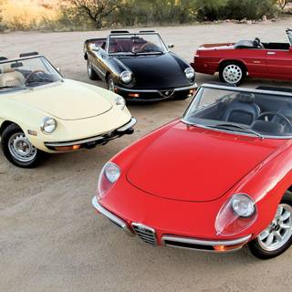 Alfa Romeo Spider wallpaper