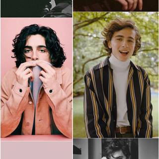 Timothée Chalamet aesthetic phone wallpaper