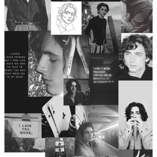 Timothée Chalamet aesthetic phone wallpaper