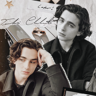 Timothée Chalamet aesthetic phone wallpaper