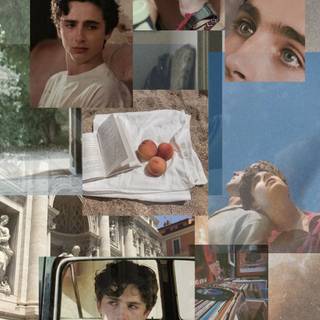 Timothée Chalamet aesthetic phone wallpaper