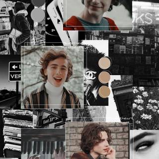 Timothée Chalamet aesthetic phone wallpaper