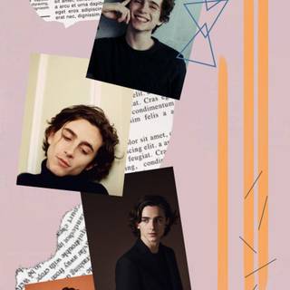 Timothée Chalamet aesthetic phone wallpaper