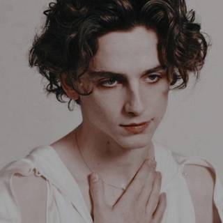 Timothée Chalamet aesthetic phone wallpaper