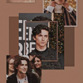 Timothée Chalamet aesthetic phone wallpaper