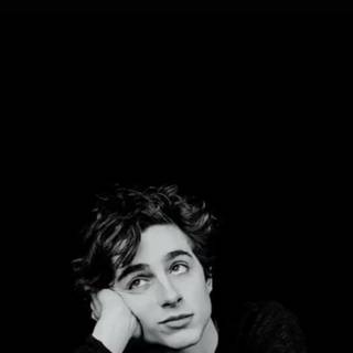 Timothée Chalamet aesthetic phone wallpaper