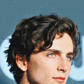 Timothée Chalamet aesthetic phone wallpaper