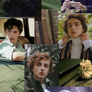 Timothée Chalamet aesthetic phone wallpaper