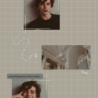 Timothée Chalamet aesthetic phone wallpaper