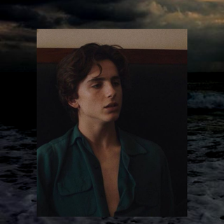 Timothée Chalamet aesthetic phone wallpaper