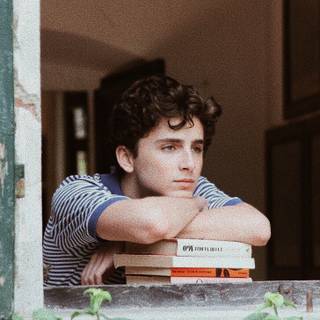 Timothée Chalamet aesthetic phone wallpaper