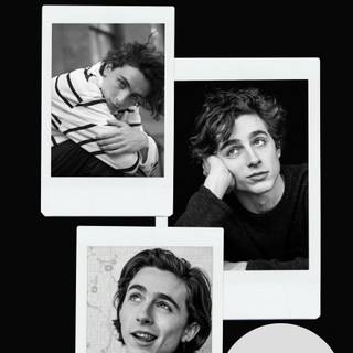 Timothée Chalamet aesthetic phone wallpaper