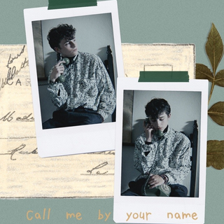 Timothée Chalamet aesthetic phone wallpaper