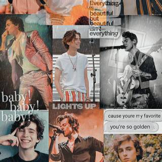 Timothée Chalamet aesthetic phone wallpaper