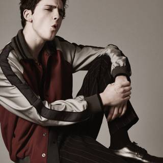 Timothée Chalamet aesthetic phone wallpaper