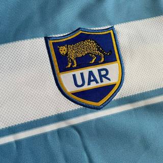 Los Pumas wallpaper