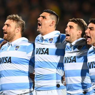 Los Pumas wallpaper
