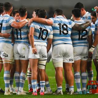 Los Pumas wallpaper