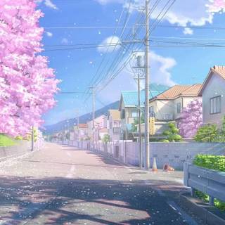 Sakura bloom wallpaper