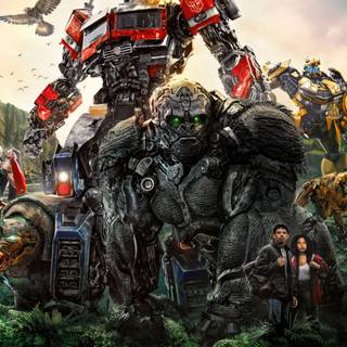 Transformers logo 4k wallpaper