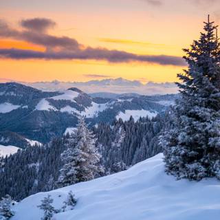 Snow sunset 4k wallpaper