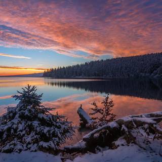 Winter sunrise lake wallpaper