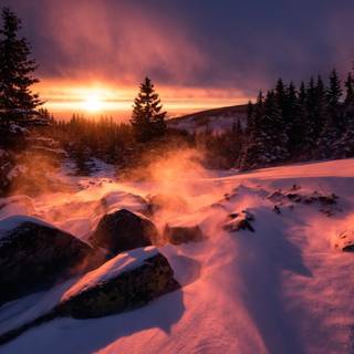 Snow sunset 4k wallpaper