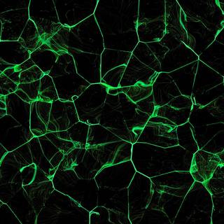 Green minimal 4k wallpaper