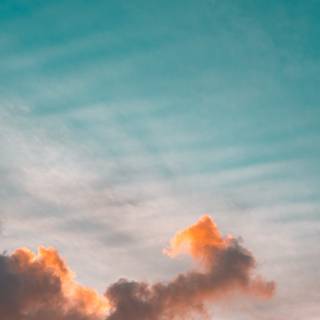 Teal phone wallpaper