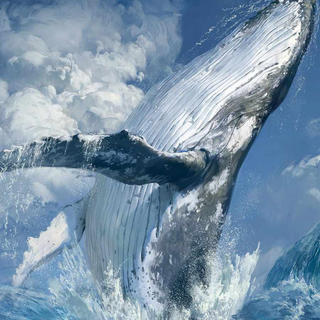 Whale phone wallpaper