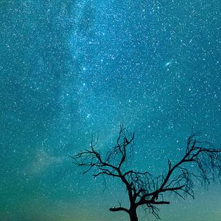 Teal phone wallpaper