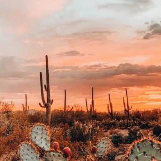 Western phone wallpaper