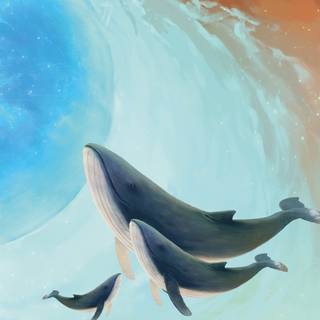 Whale phone wallpaper