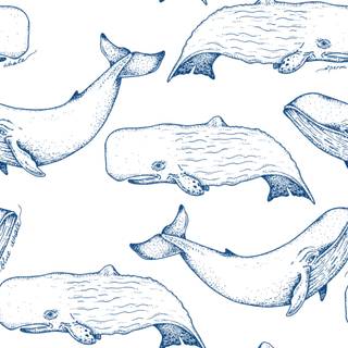 Whale wallpaper