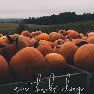 Aesthetic fall iPhone wallpaper