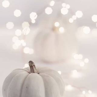 Aesthetic fall iPhone wallpaper