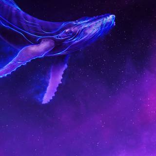 Whale phone wallpaper