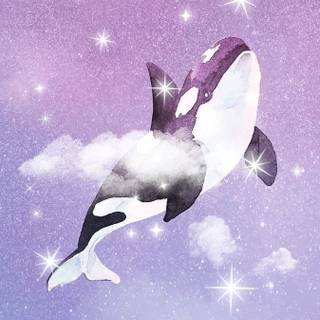 Whale phone wallpaper