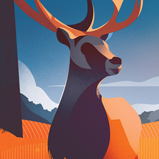 Illustration iPhone wallpaper