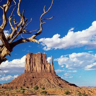 Western phone wallpaper