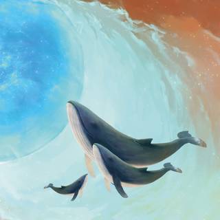 Whale iPhone wallpaper