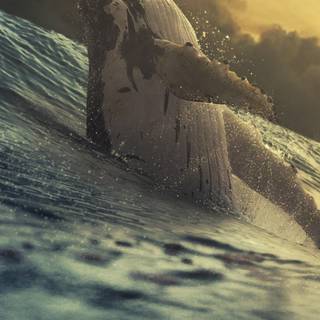 Whale iPhone wallpaper