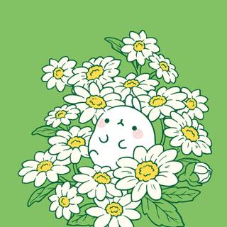 Molang phone wallpaper